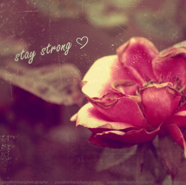 Stay Strong 